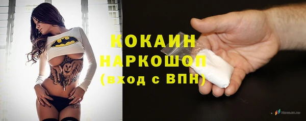 стаф Ладушкин