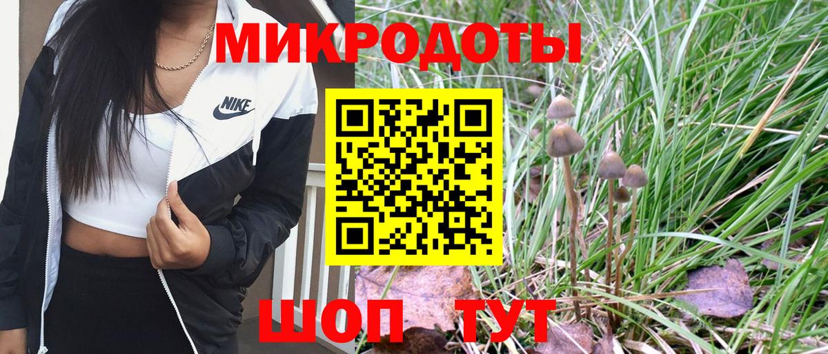 Галлюциногенные грибы MAGIC MUSHROOMS Мирный