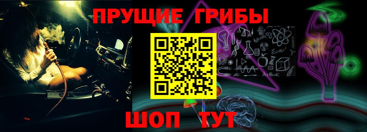 Мирный  Галлюциногенные грибы MAGIC MUSHROOMS  Вход с VPN 